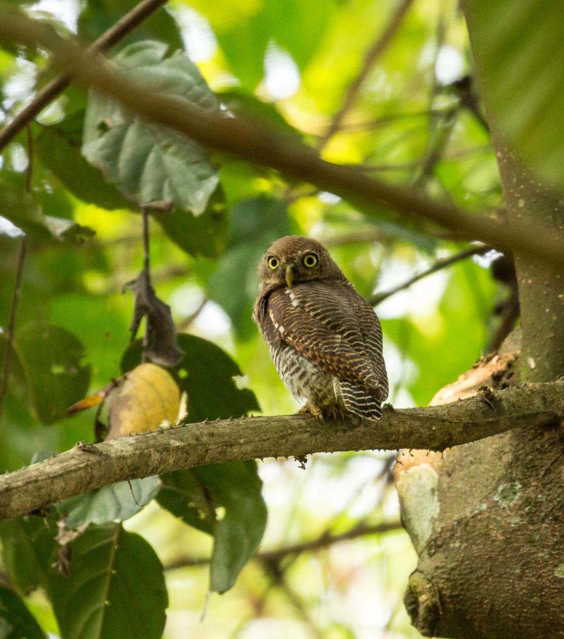 Quiet By The River- Cgh Earth Thodakayam المظهر الخارجي الصورة
