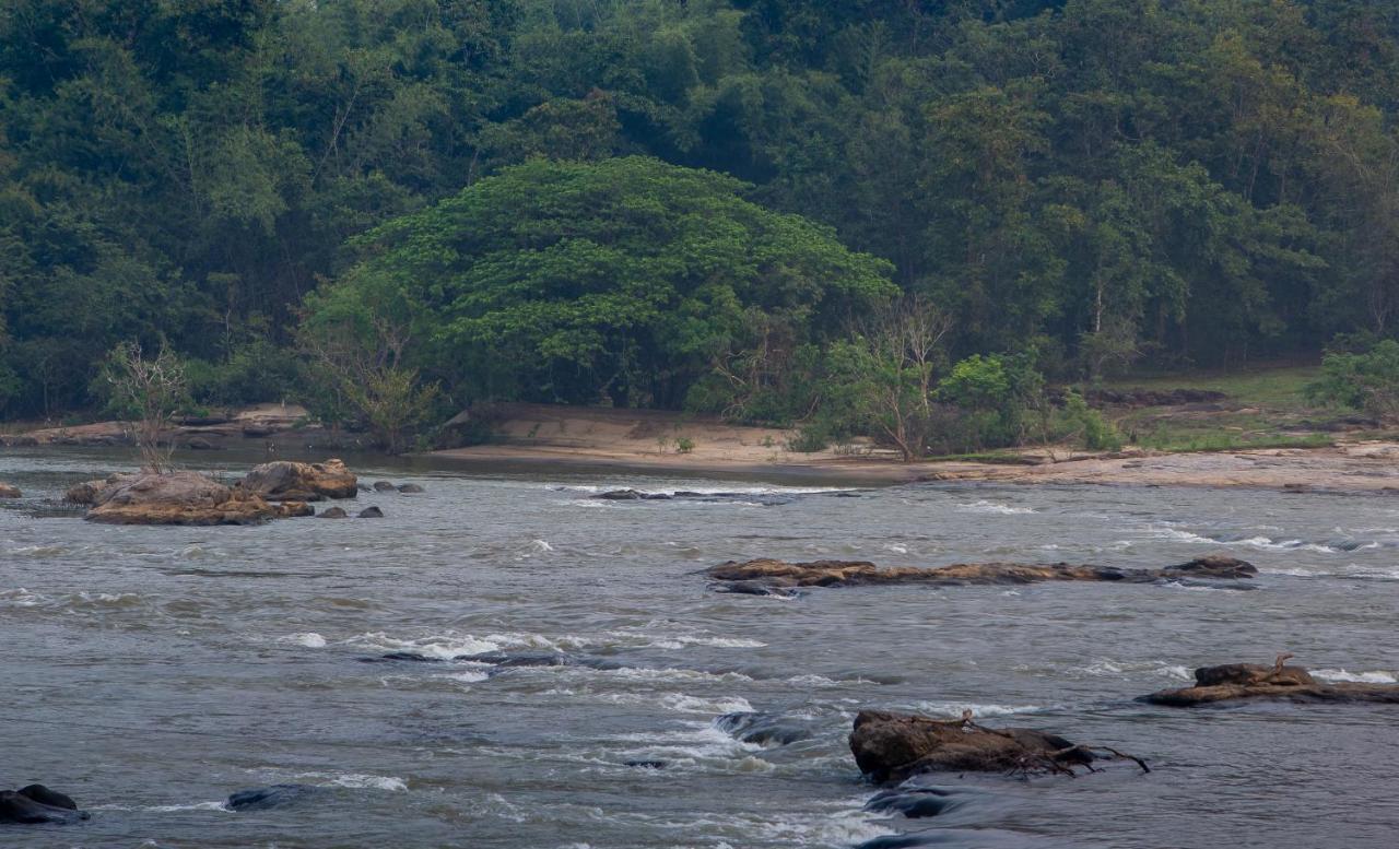 Quiet By The River- Cgh Earth Thodakayam المظهر الخارجي الصورة